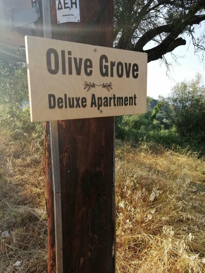 Olive Grove Deluxe Apartment Agnítsini エクステリア 写真
